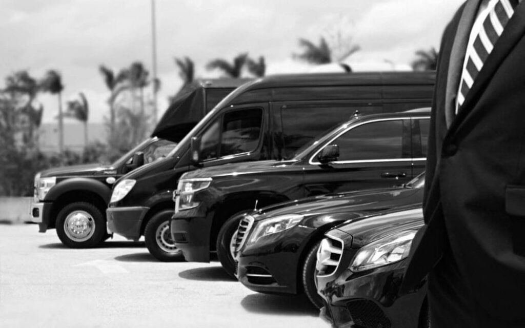 A row of black and white cars parked in a parking lot.